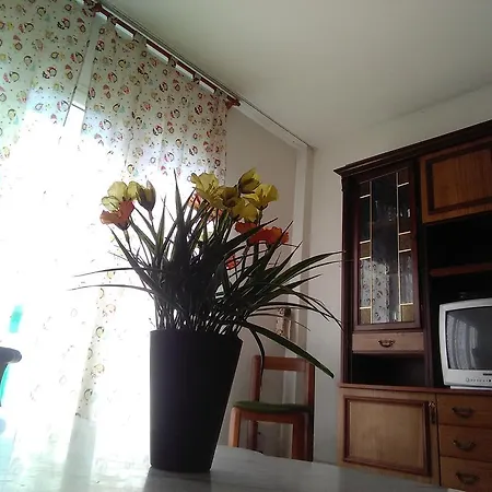 Arrecife Apartment